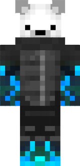 skin1