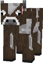 faithful cow