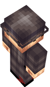 skin