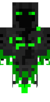 skinn1