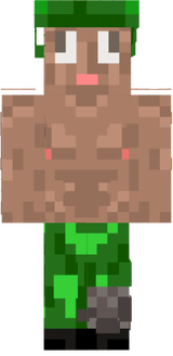 Tonkist