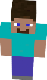 Simple Steve