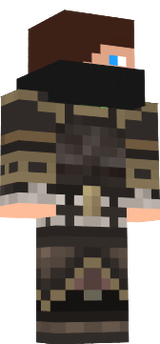 ninja skin