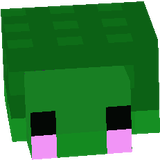 Cute Turtle Endermite