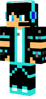 skin