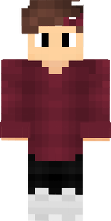 DvG_ParaZyT_