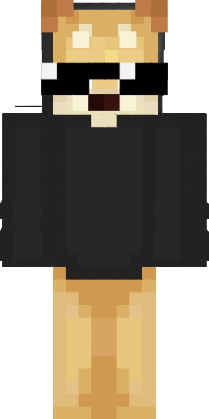 Preview of texture: poggo