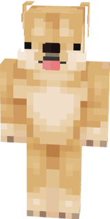 doge