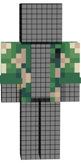 hawiian shirt