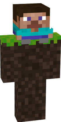 Preview of texture: mini steve
