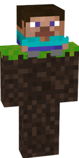 mini steve