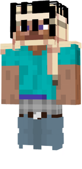 wer sdfa