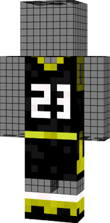 LeBron Outfit