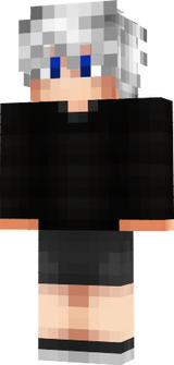 Skins PC
