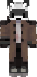 raccoon