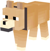 Alfredo