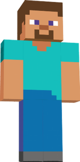 steve