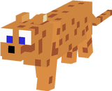 ozelot