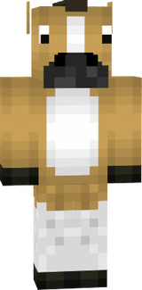 cavalo