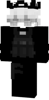 rapixel