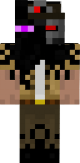 Ender boy