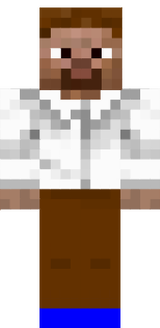 SteveProf