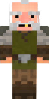 goosesurfer
