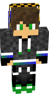 Ervin