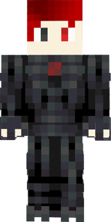 Goupill E n 2 