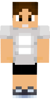 SnaipnesySummerDankar