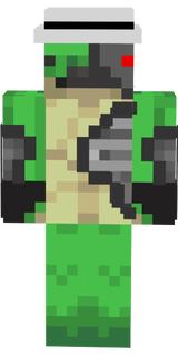tortuga robot turtle