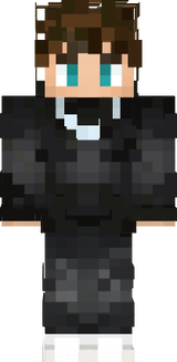 Steini