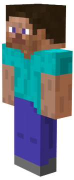 steve