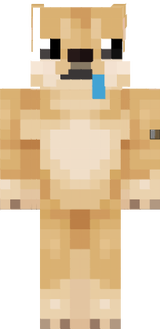 kutya gang