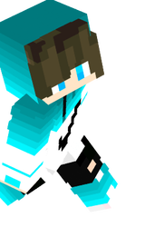 Nike skin