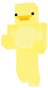 kaczka miniaturka