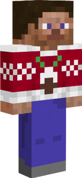 Steve Xmas sweater 22222