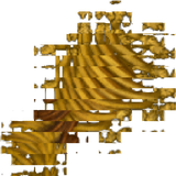 wheat 