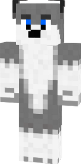  Sader