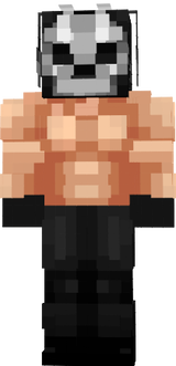 nik-skin
