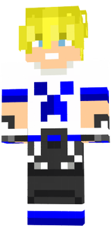 Skin 527
