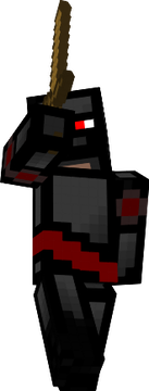 ninja!!!