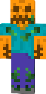 zucca