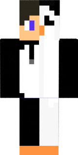 pingo 2