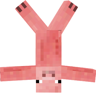Preview of texture: porc decasa