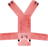 porc decasa