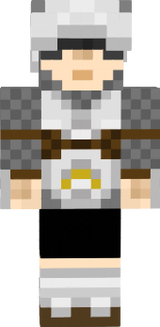 Hyrule Guard