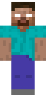 SKIN4MC