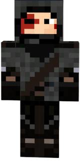 Nieuwe Skin