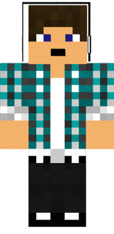skin2